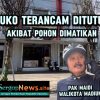 Ruko Terancam Di Tutup Apa Bila Terbukti 2 Pohon Di Jln Salak Di Matikan