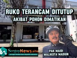 Ruko Terancam Di Tutup Apa Bila Terbukti 2 Pohon Di Jln Salak Di Matikan