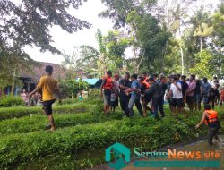 Dinyatakan Hilang Bocah 14 Tahun Ditemukan Tewas Hanyut di Sungai Desa Rowotamtu