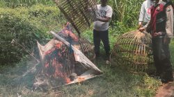 POLSEK PRAMBON PASTIKAN TIDAK ADA JUDI SABUNG AYAM DI JATIKALANG