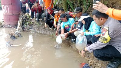 Sekitar 6000 Benih Ikan Tawes Ditebar di Sungai Dinoyo Dalam Acara Giat HPSN Kecamatan Rambipuji