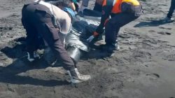Diduga Korban Laka Laut,mayat Pria Tanpa Identitas Mengapung di pantai Pandanwangi Lumajang